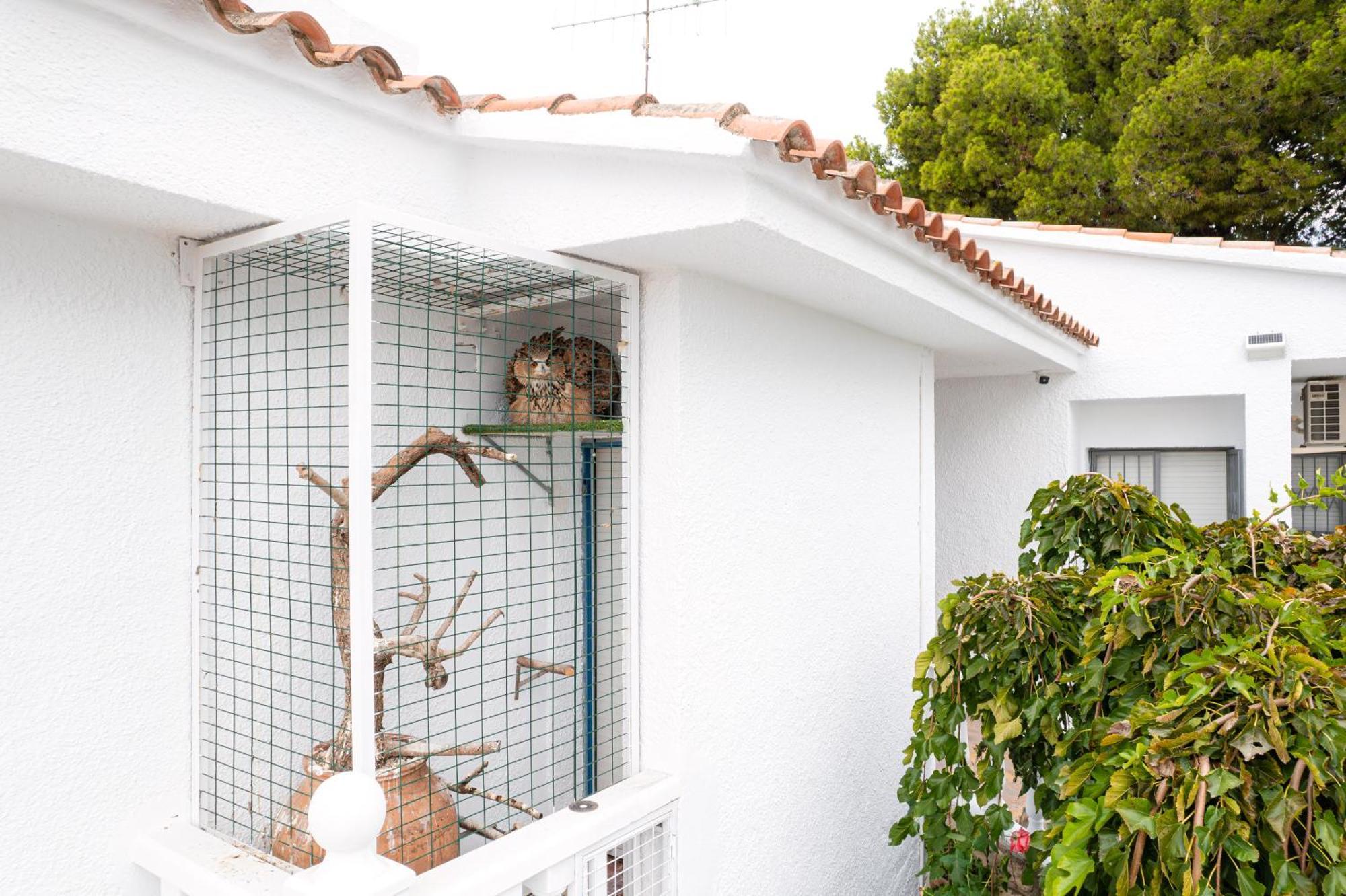Villa Vintage Les Cases d'Alcanar Exterior photo